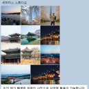 스테이포그 | 세라미스 스튜디오 하티서울스테이 촬영 후기. 찐 작가님을 만나다.