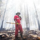 캐나다를 집어 삼키고 있는 사상최악의 산불 이미지