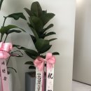 변호사정준호법률사무소