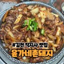 촌돼지네 | 경북 김천 직지사 맛집 돼지김치구이와 볶음밥이 맛있었던 윤가네촌돼지 내돈내산 후기