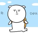 도네누 이미지