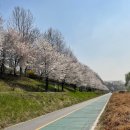 한강수변길 | 서울에서 가장 걷기 쉬운 산책길 TOP10! 🔥