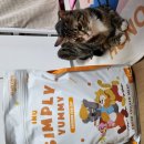 포캣 | “까다로운 고양이도 반한 사료! 아이누 심플리 야미 치킨포캣 솔직후기”