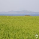 서귀포종합관광안내소 이미지
