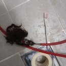 은천동-24 이미지