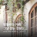 람블라스 거리 가는 길, 명소 맛집 각종 팁과 함께
