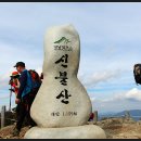 신불산~영축산(배내고개~배내봉~간월산~간월재~신불산~신불재~영축산~취서산장~지내마을. 141014. 일) 이미지