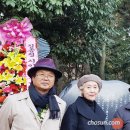 김종철 시비 조선일보