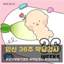 36 | 임신 36주 막달검사 후기(2025.05.21 / 퀸스메디산부인과)