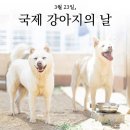 'Netizen 신비 동물의 왕국' '2021. 3. 28'(일요특집) 이미지