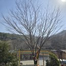 권선구신점 잘보는곳 보현당과의 스타트업 사업 관련 상담