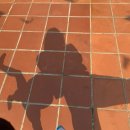 베스트 아시아마트 | 1) 동에 번쩍 서에 번쩍 패키지 여행, 인천공항 24시간 라운지, 사오비치, 베스트웨스턴 프리미어 소나시