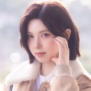 배이
