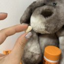 웰약국 | 웰티크 비오볼류머 비오틴 맥주효모, 아버지 선물로 드린 후기