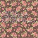 프로펫애견미용학원 이미지