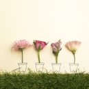 경희동의보감한의원 이미지