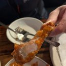 꼬꼬리아 이미지