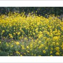 자산동105 이미지