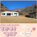 멍디브 | [강원/평창] 천연잔디 400평 독채 애견펜션 "멍디브" 시설/가격/솔직후기