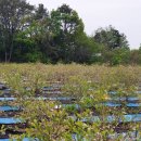 모현농장 이미지