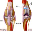 연두 동물병원 이미지