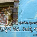 황새알로 이미지