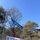 세종홍익아카데미 이미지