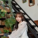 니캉내캉 이미지