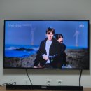 개물목장 | 웰컴투삼달리 촬영지, 제주 서쪽 드라이브 가볼만한곳 싱계물공원, 신창풍차해안도로 (+돌고래)