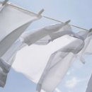 한양 명품세탁 이미지