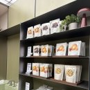 올리브영서초타운 주식회사 | 올리브영 센트럴 강남타운 - 올리브 멤버스 VIP라운지 이용방법과 후기