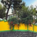 치킨선생신길점 | [9월 1-2주] 블로그 어떡개 쓰는거애요?