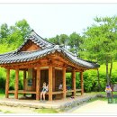 대숲속으로 Daum카페