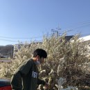 박*민 이미지