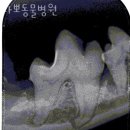 라뽀동물병원 이미지