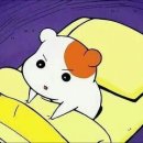 예림초등학교 이미지