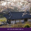전주 우붓 한옥 풀빌라 독채 숙소 | 진북동펜션 전주 우붓 한옥 풀빌라 독채 숙소 시설 깔끔 여서 추천하고 싶은 곳의 이용 비용 안내