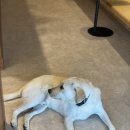 블루하우스 이미지