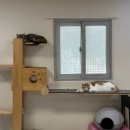 동물보육원 김포지부 이미지