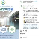 해든고양이병원 이미지