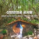 산양마을2안길 | 제주 산양큰엉곶 곶자왈 소요시간 입장료 주차 서쪽 가볼만한곳