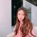 청하 카카오 검색결과