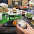 3월 일상: 고양이와 하이큐