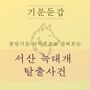 [뒷북점사] 홍연기문 단시점으로 살펴본 서산 늑대개 탈출사건 이미지