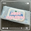 그린클린 | 그린핑거 데일리 클린티슈 사용후기