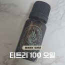 오일스팟 | [올리브영 내돈내산] 에센허브 티트리 100 오일 솔직 후기 ｜ 트러블 진정 스팟 케어 추천템