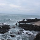 할망네민박 이미지