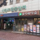 산림조합중앙회 | 송파구 삼전동 산림조합중앙회 숲카페, 티숨카페