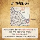 경흥청과 | 우리가 기억해야 할 또 하나의 섬, '녹둔도'를 아시나요?