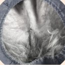 광안동물병원 이미지